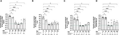 Exhausted PD-1+ TOX+ CD8+ T Cells Arise Only in Long-Term Experimental Trypanosoma cruzi Infection